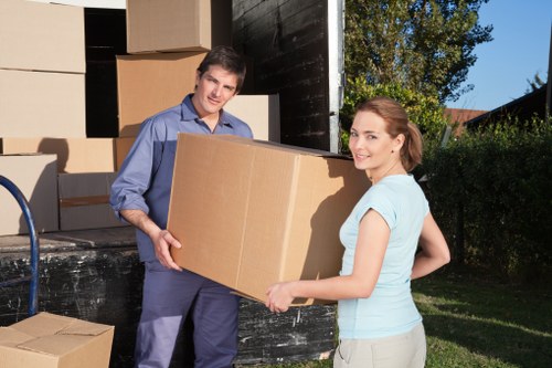 Professional man and van helping with a small move