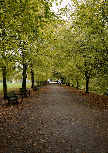 A shaded pathway within a park features a large, mature tree with a wide trunk and abundant foliage on the right, and a smaller, leafless tree on the left. The pathway, composed of gravel and dirt, ex